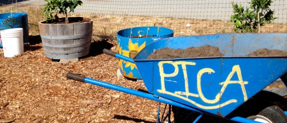 PICA wheelbarrow in the Urban Garden Demonstration Site.